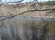 Ukleisee